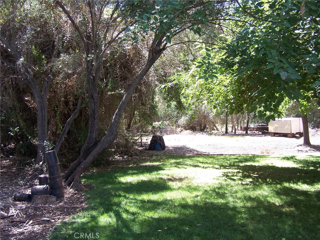 7136 Upper Palermo Road Palermo, CA 95968 - Photo 21 of 26 a view of a yard with large trees