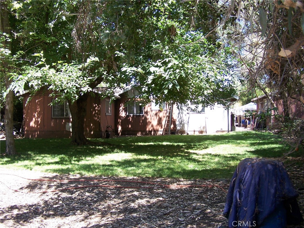 7136 Upper Palermo Road Palermo, CA 95968 - Photo 22 of 26 a view of a backyard with large trees