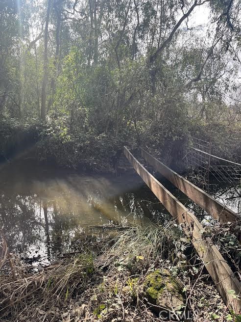 7136 Upper Palermo Road Palermo, CA 95968 - Photo 23 of 26 a view of a forest with a yard