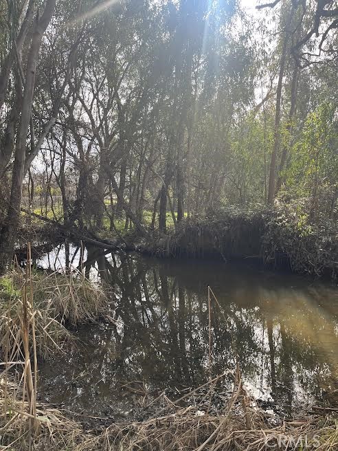 7136 Upper Palermo Road Palermo, CA 95968 - Photo 26 of 26 a view of lake