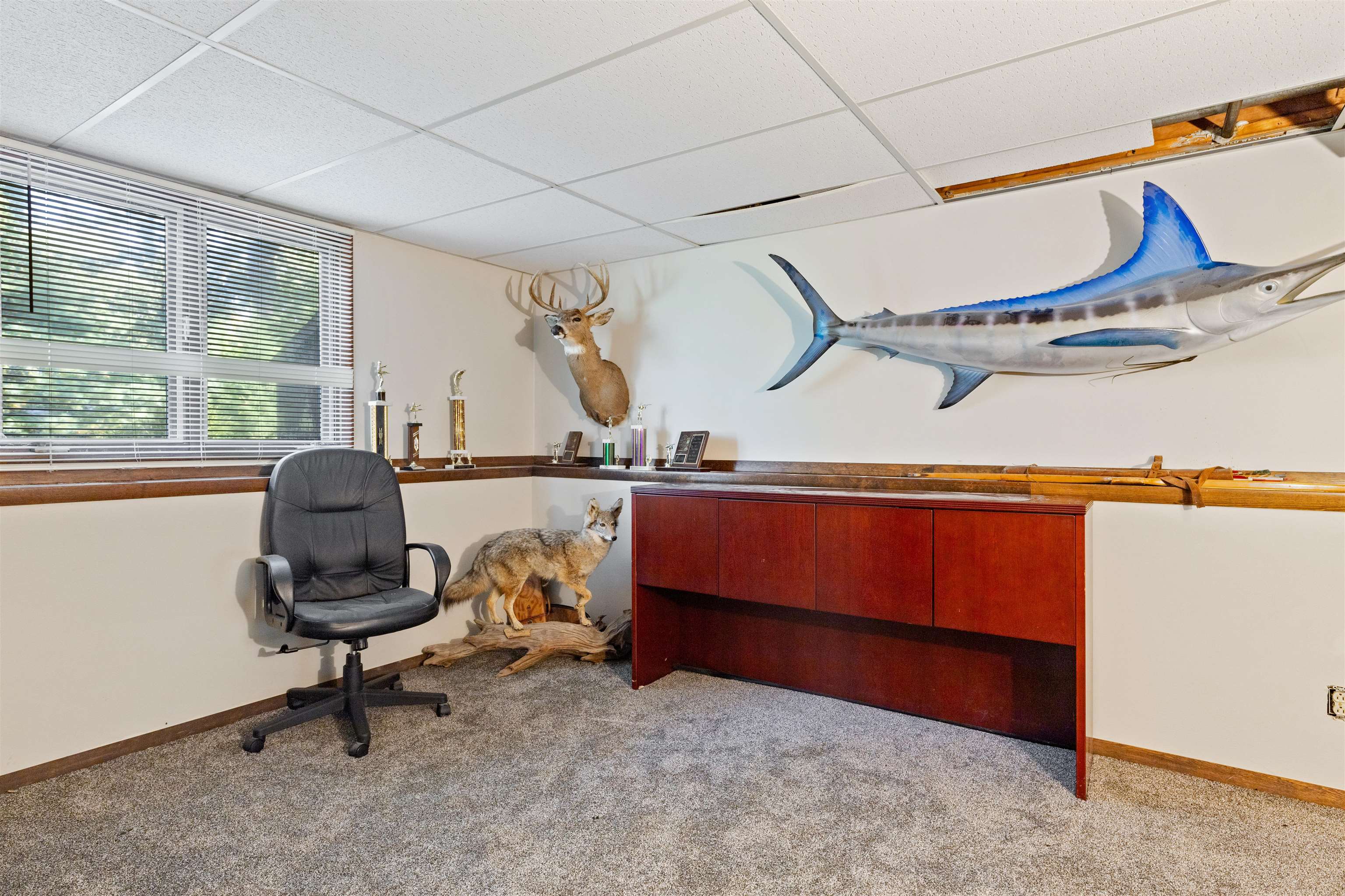 2518 Mandrake Drive Rockford, IL 61108 - Photo 29 of 50 a room with gym equipment and a large window