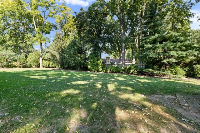a view of yard with green space