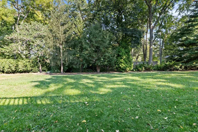 a view of green field with trees in the background