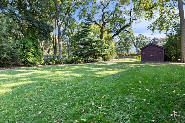 a view of a park with large trees