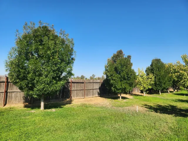 a view of a garden with a building in the background