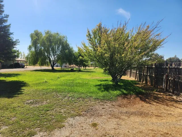 a view of a trees with a big yard