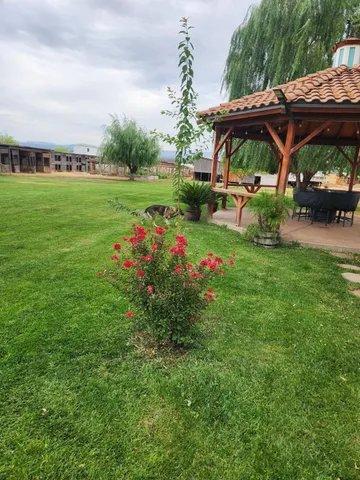 a view of backyard with table and chairs under an umbrella