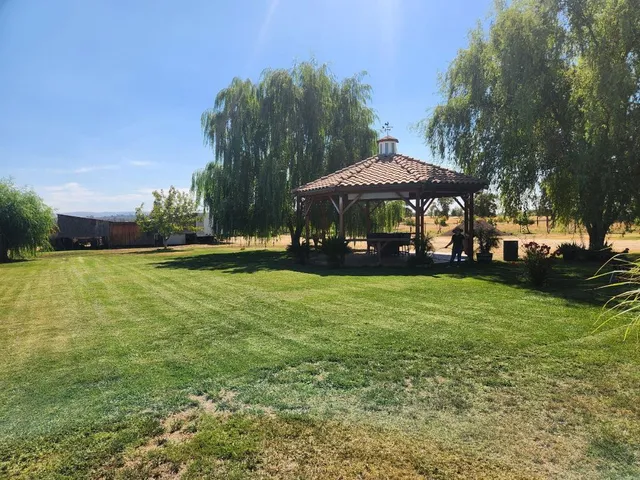 a view of a park with large trees