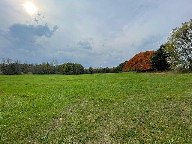 0 North Maple Island Road Hesperia, MI 49421 - Photo 1 of 12 IMG_3344