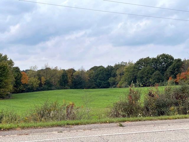 0 North Maple Island Road Hesperia, MI 49421 - Photo 3 of 12 IMG_3339