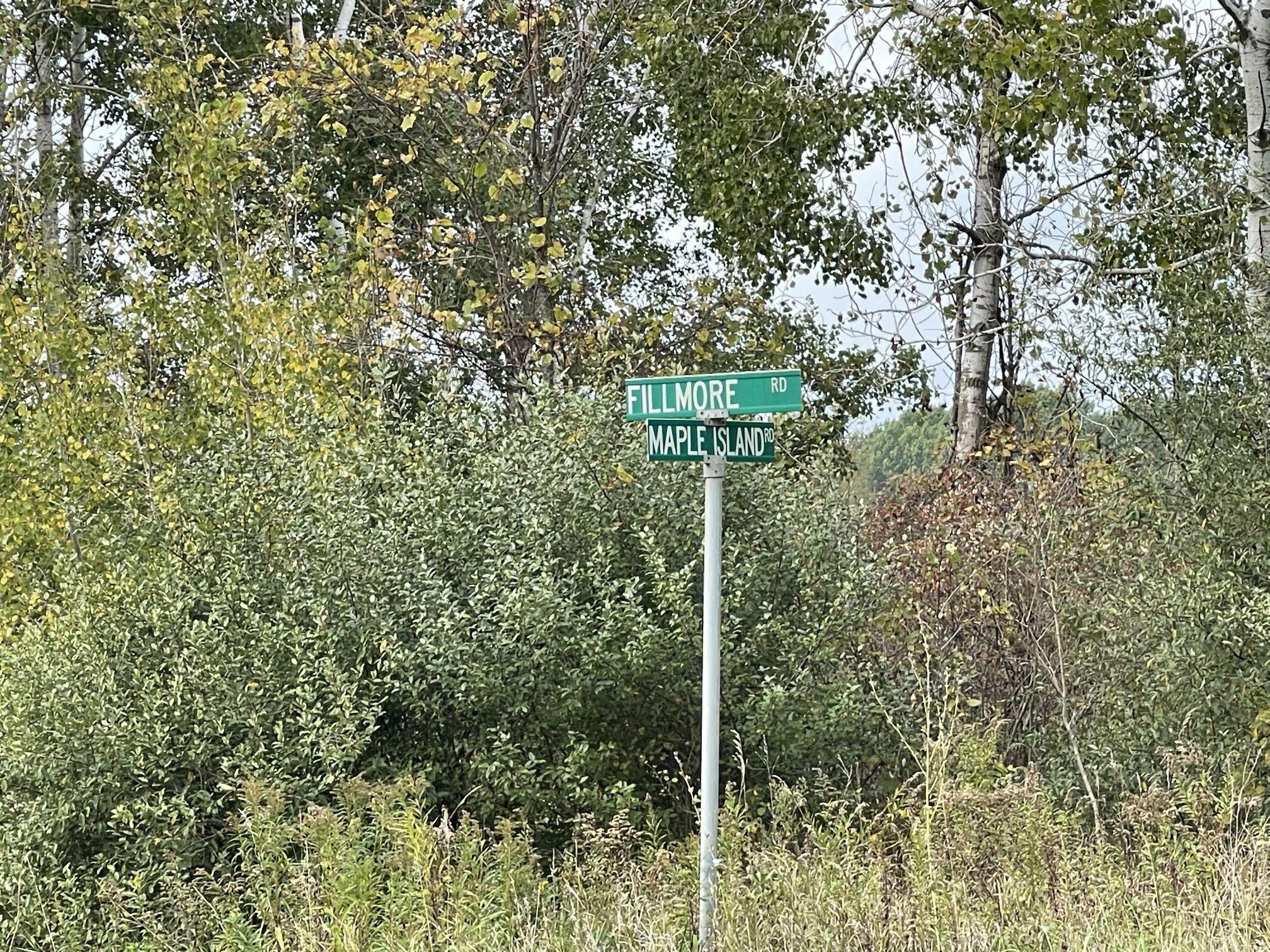0 North Maple Island Road Hesperia, MI 49421 - Photo 10 of 12 IMG_3342