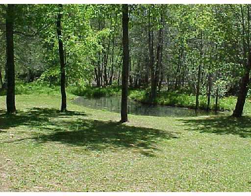 41 New Sweden Road Stetson, ME 04488 - Photo 3 of 34 Yard/Garden.