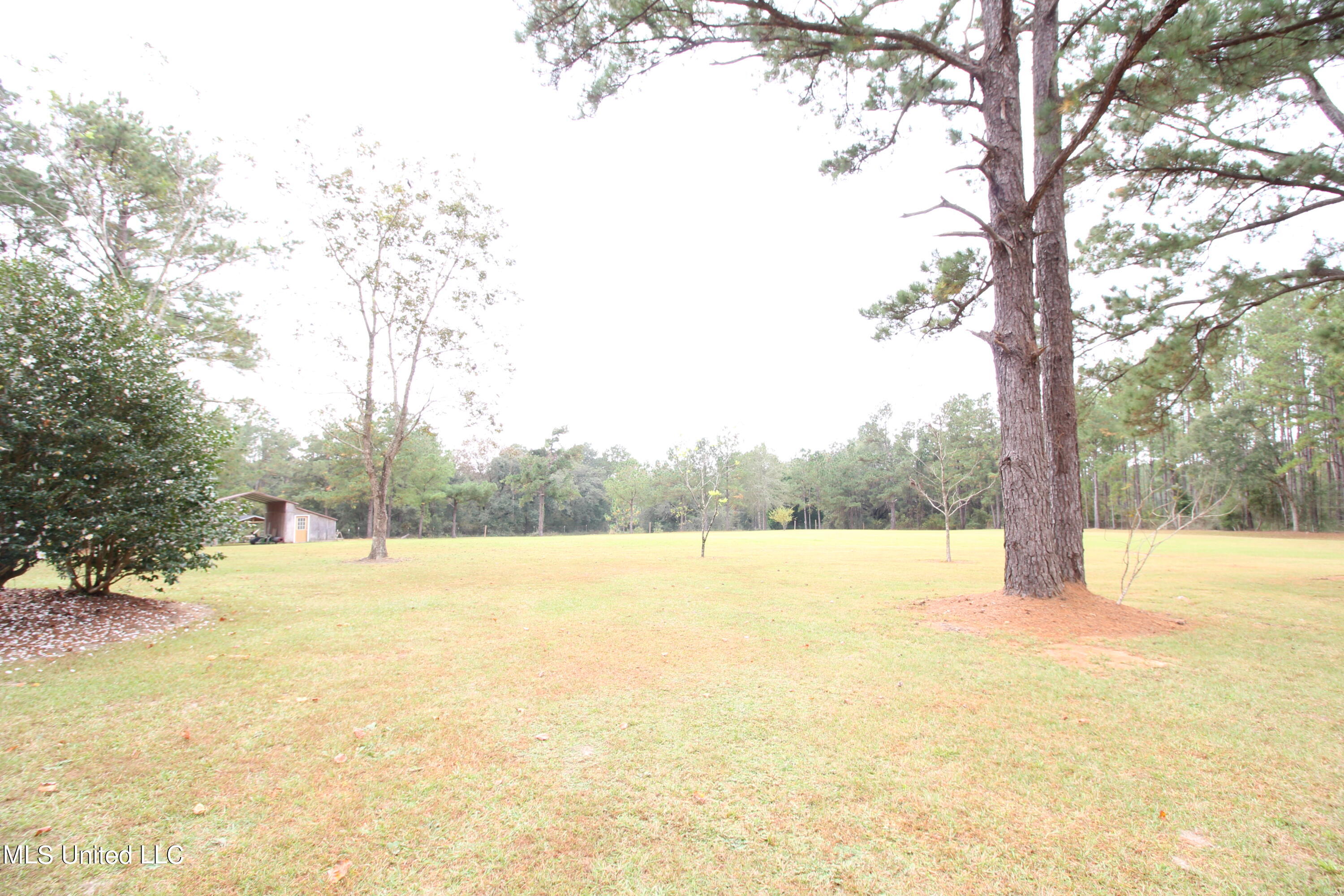 203 Will Howell Road Lucedale, MS 39452 - Photo 12 of 22 IMG_2585