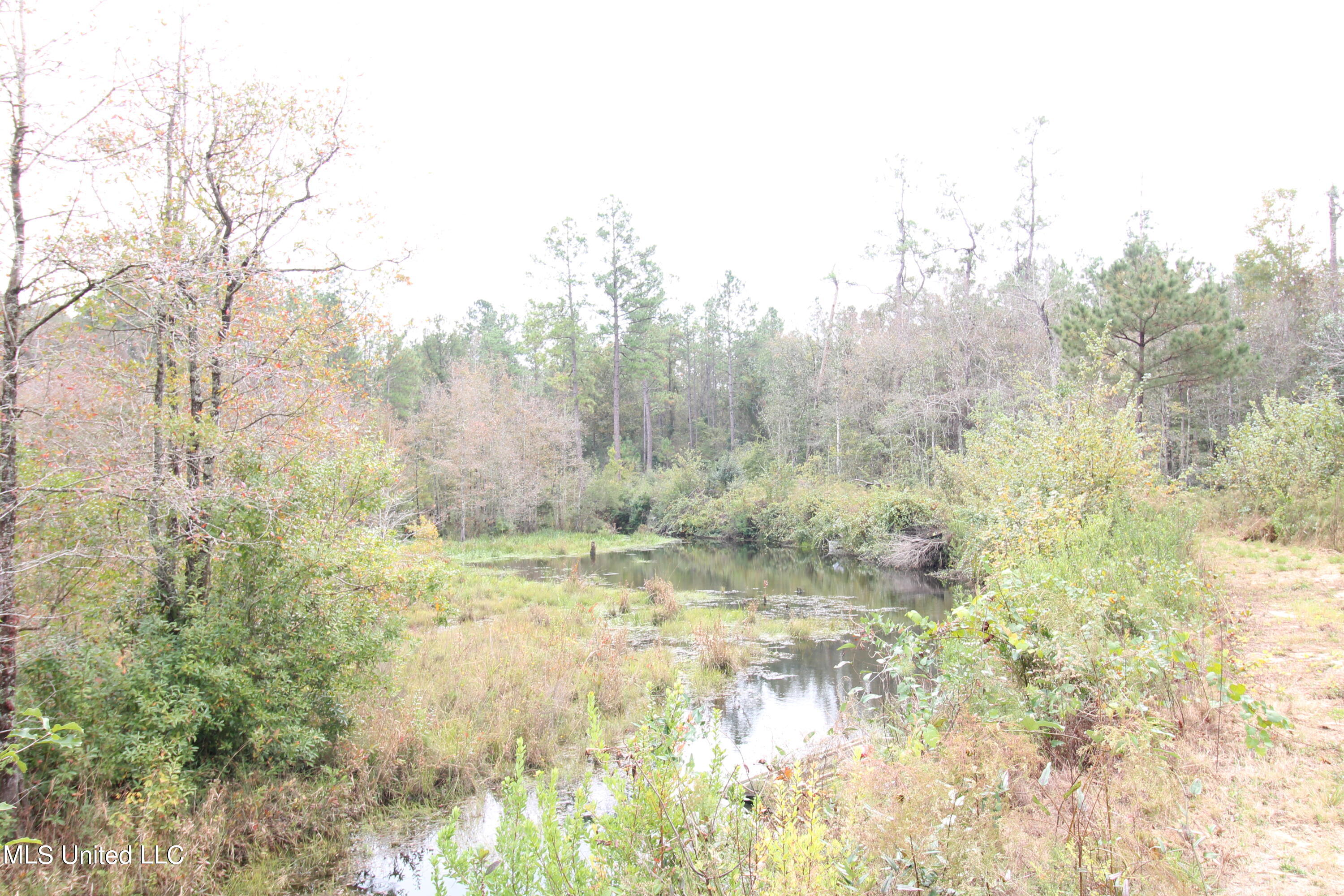203 Will Howell Road Lucedale, MS 39452 - Photo 17 of 22 IMG_2593