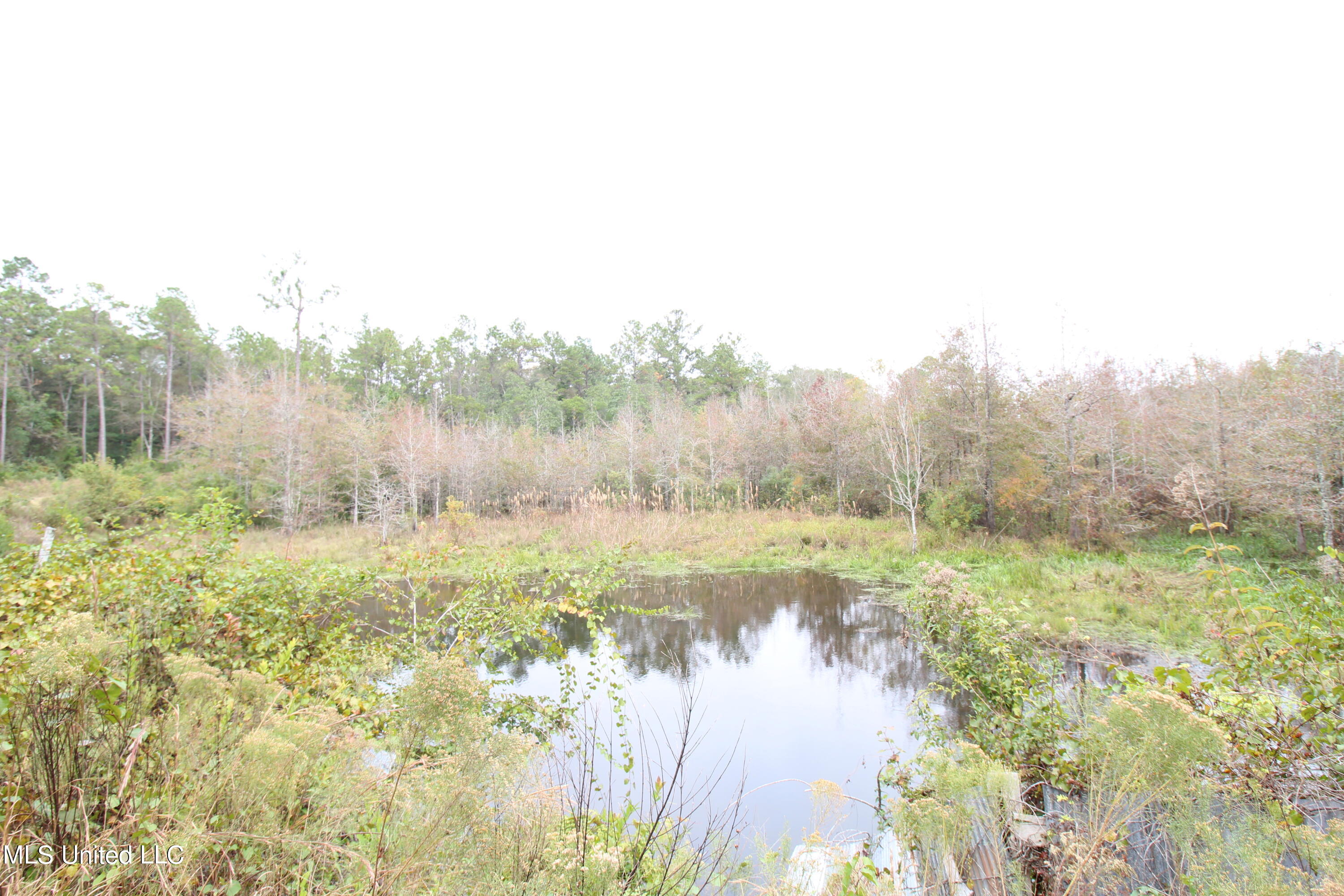 203 Will Howell Road Lucedale, MS 39452 - Photo 18 of 22 IMG_2595