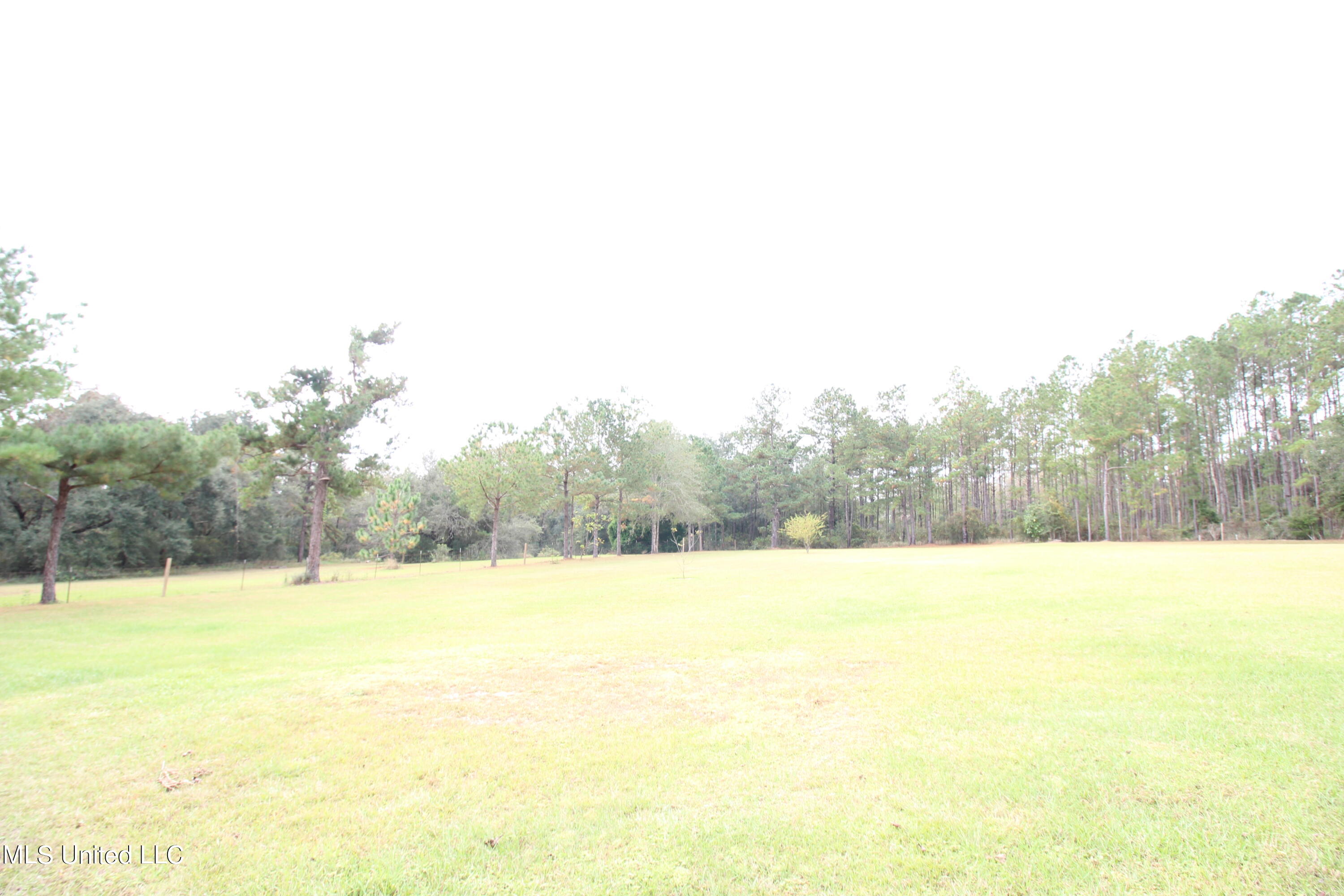 203 Will Howell Road Lucedale, MS 39452 - Photo 22 of 22 IMG_2601