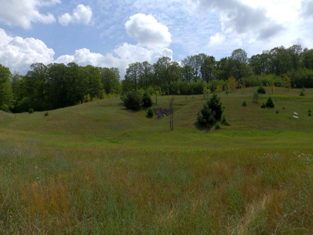 5413 Wilkinson Road Gaylord, MI 49735 - Photo 68 of 75 Gallery Image 68