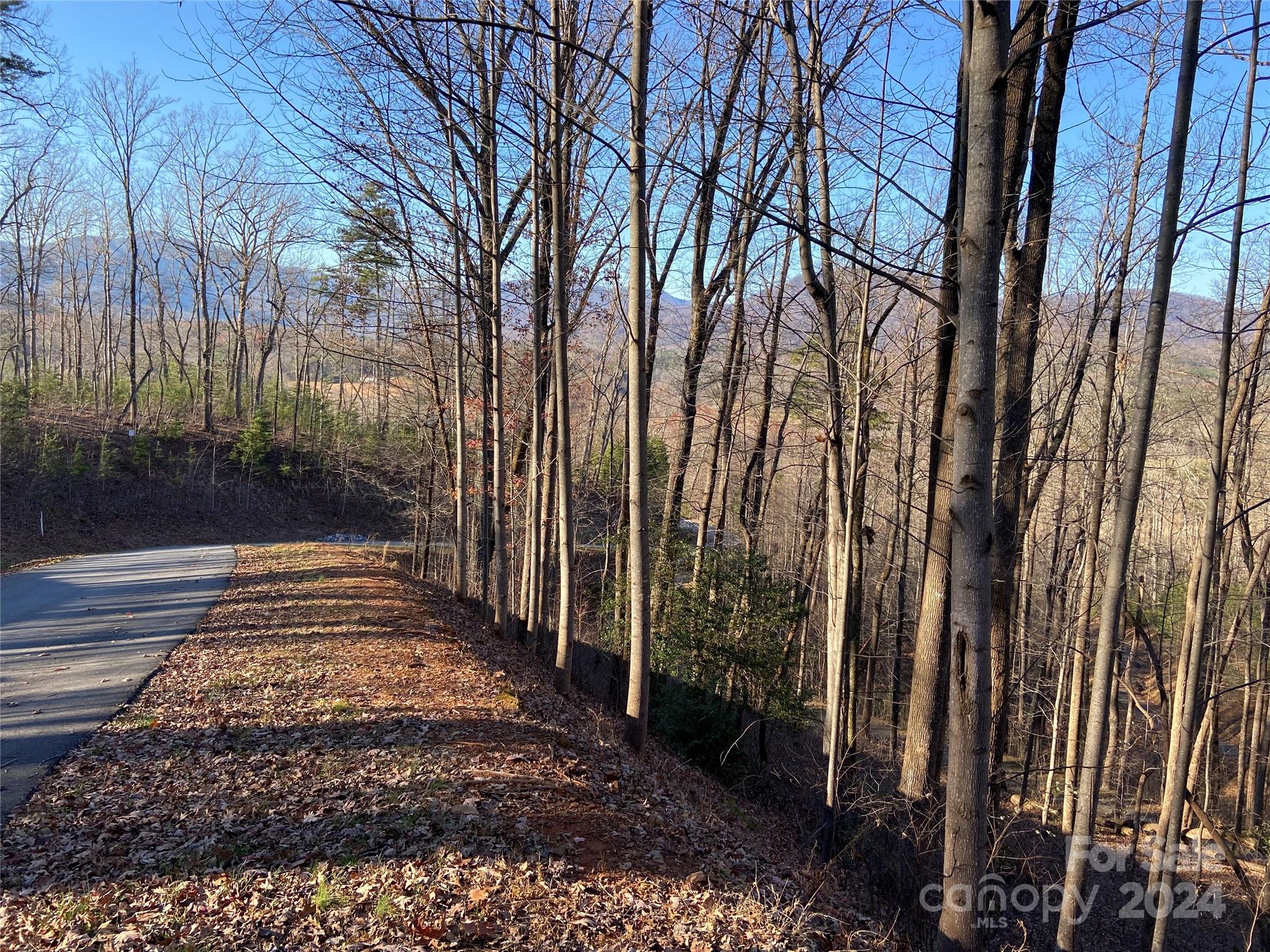 0 High Pines Loop, Unit 114 Lake Lure, NC 28746 - Photo 1 of 13