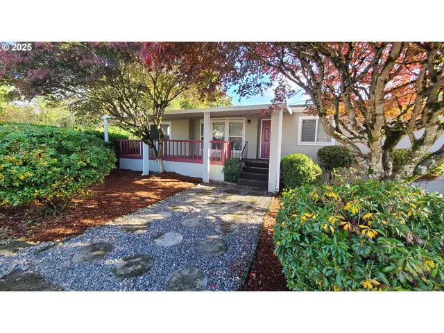 a view of a backyard