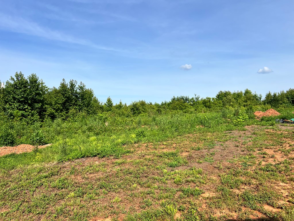 452 Bowie Road Troy, SC 29848 - Photo 12 of 15