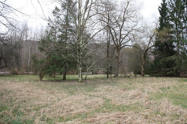 1636 Anjean Road Rupert, WV 25984 - Photo 19 of 20 Yard