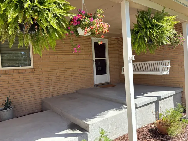 a view of a potted plants next to a building