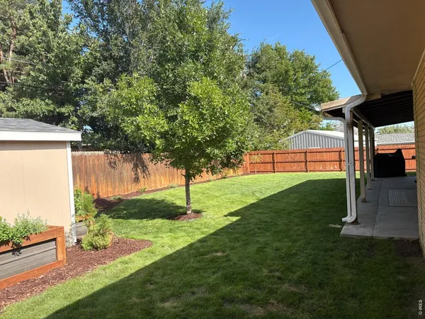 a view of a backyard
