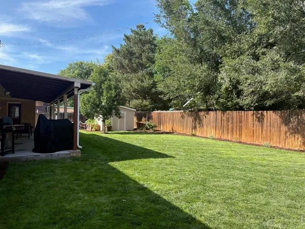 a view of a backyard with a garden and trees