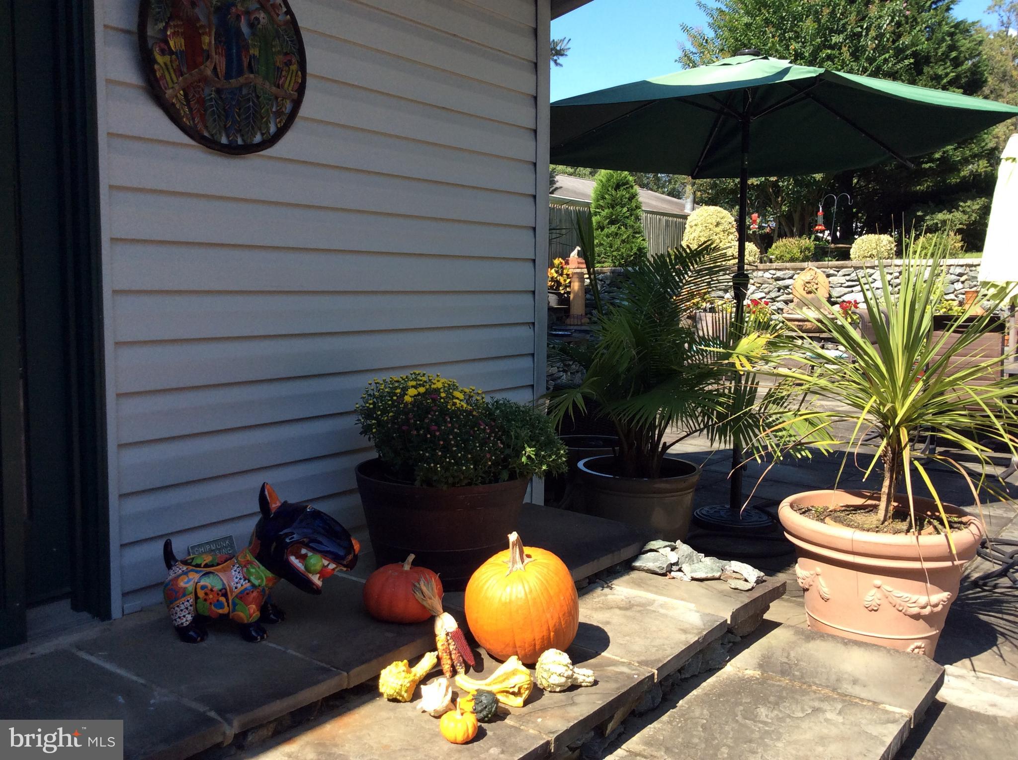 2909 Plyers Mill Road Silver Spring, MD 20902 - Photo 26 of 30 Patio