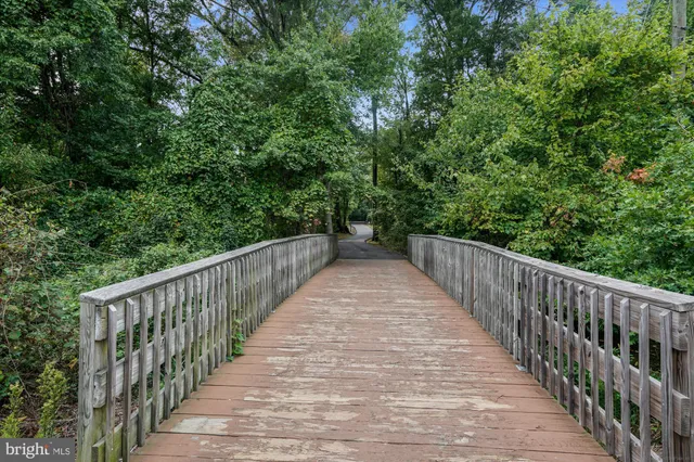 a view of a backyard with large trees