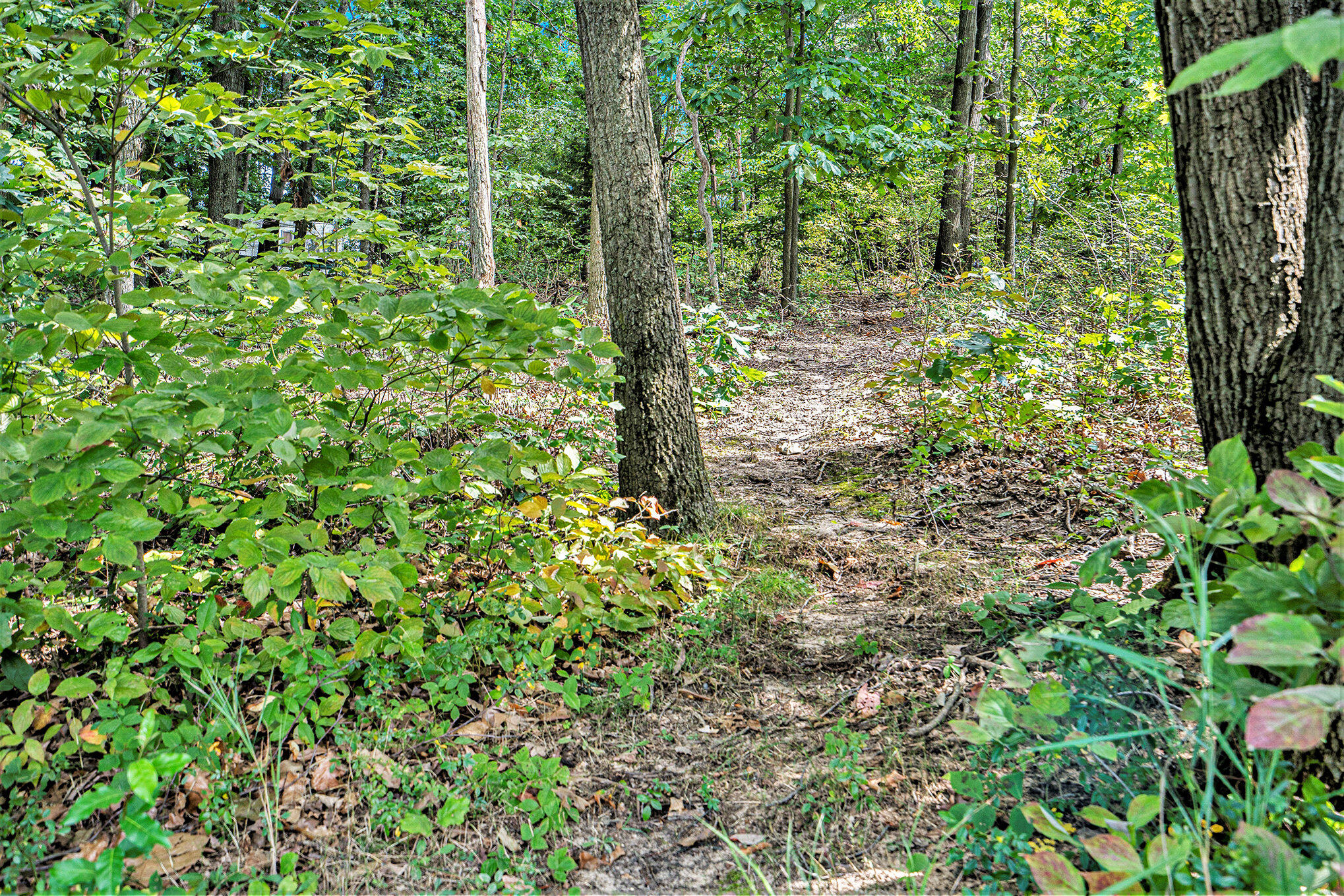 59136 Dove Lane Three Rivers, MI 49093 - Photo 12 of 20 002_dsc04508