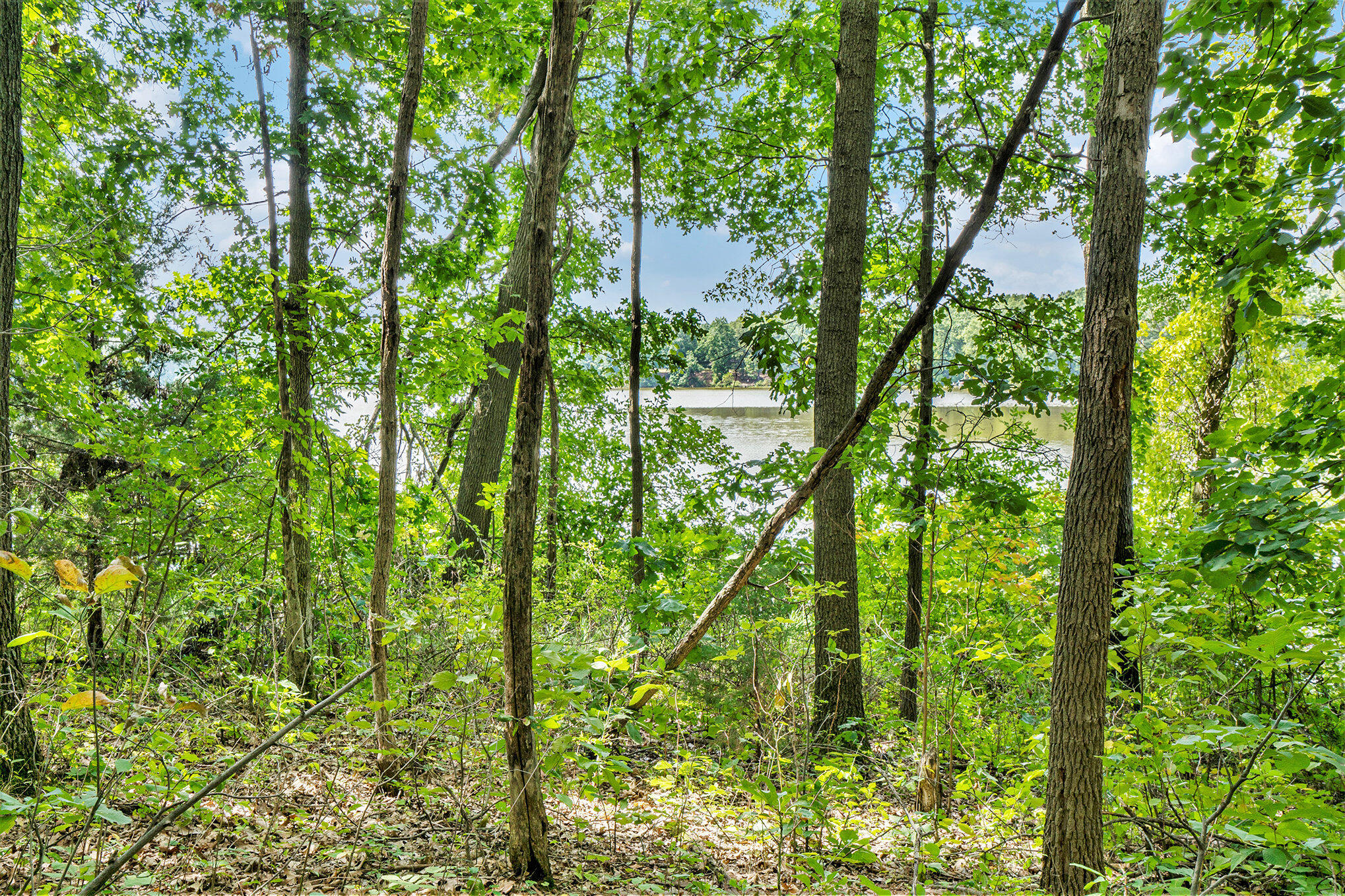 59136 Dove Lane Three Rivers, MI 49093 - Photo 13 of 20 008_dsc04515