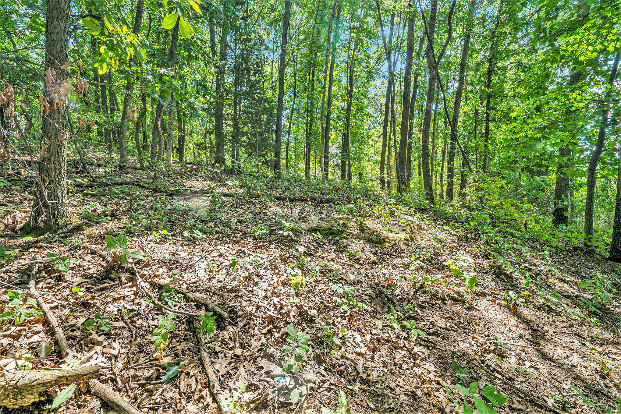 59136 Dove Lane Three Rivers, MI 49093 - Photo 14 of 20 009_dsc04516