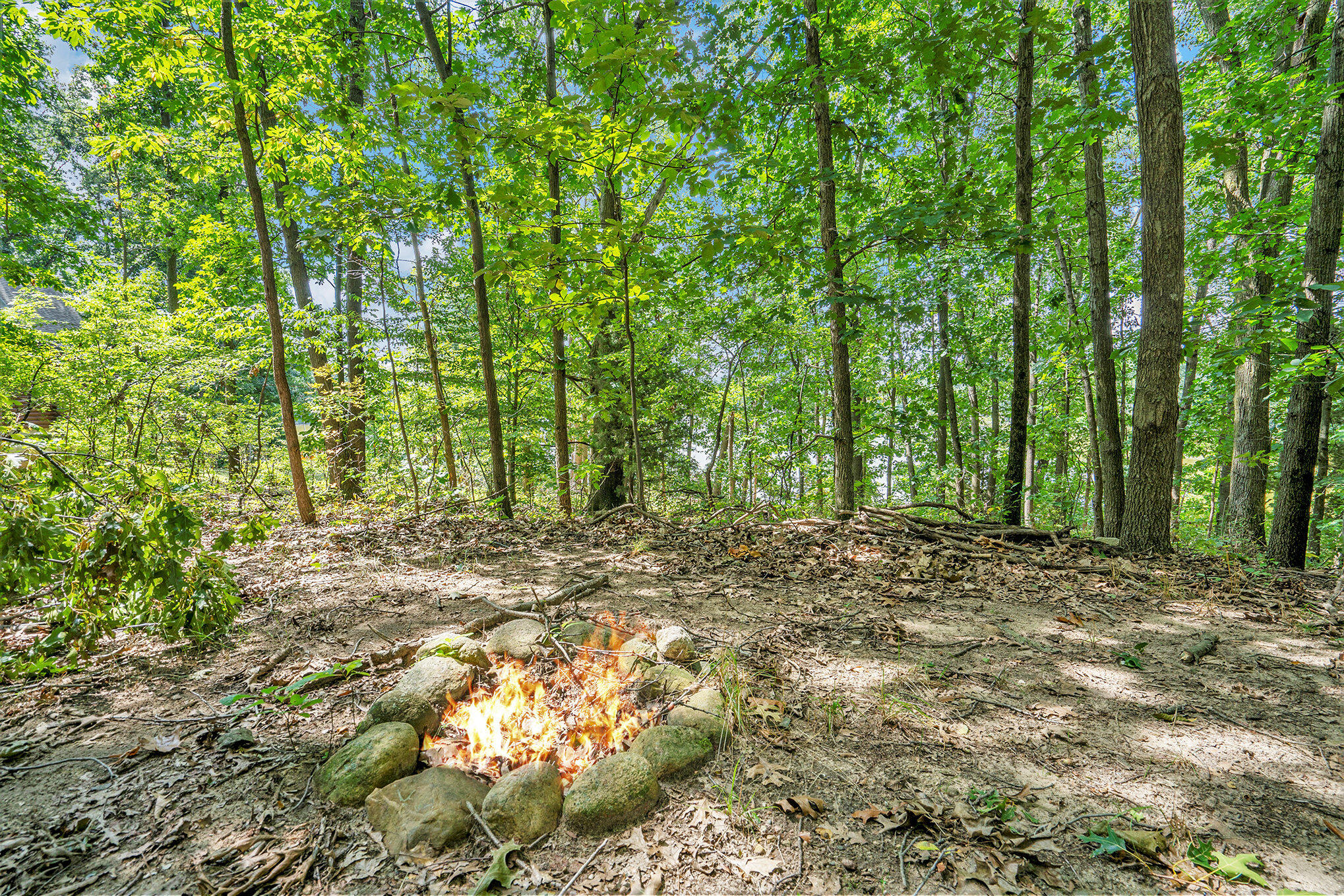 59136 Dove Lane Three Rivers, MI 49093 - Photo 15 of 20 010_dsc04520