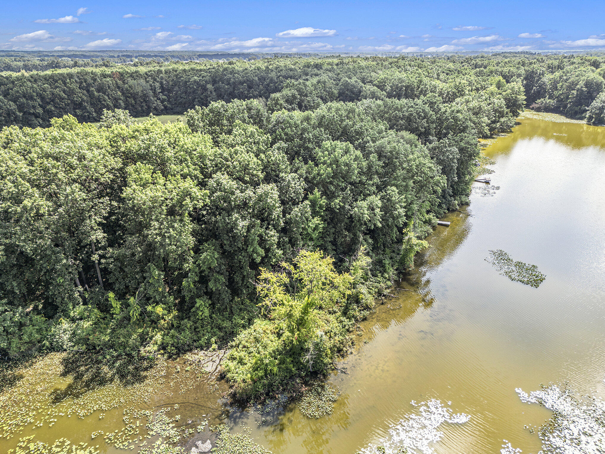 59136 Dove Lane Three Rivers, MI 49093 - Photo 16 of 20 013_dji_0610