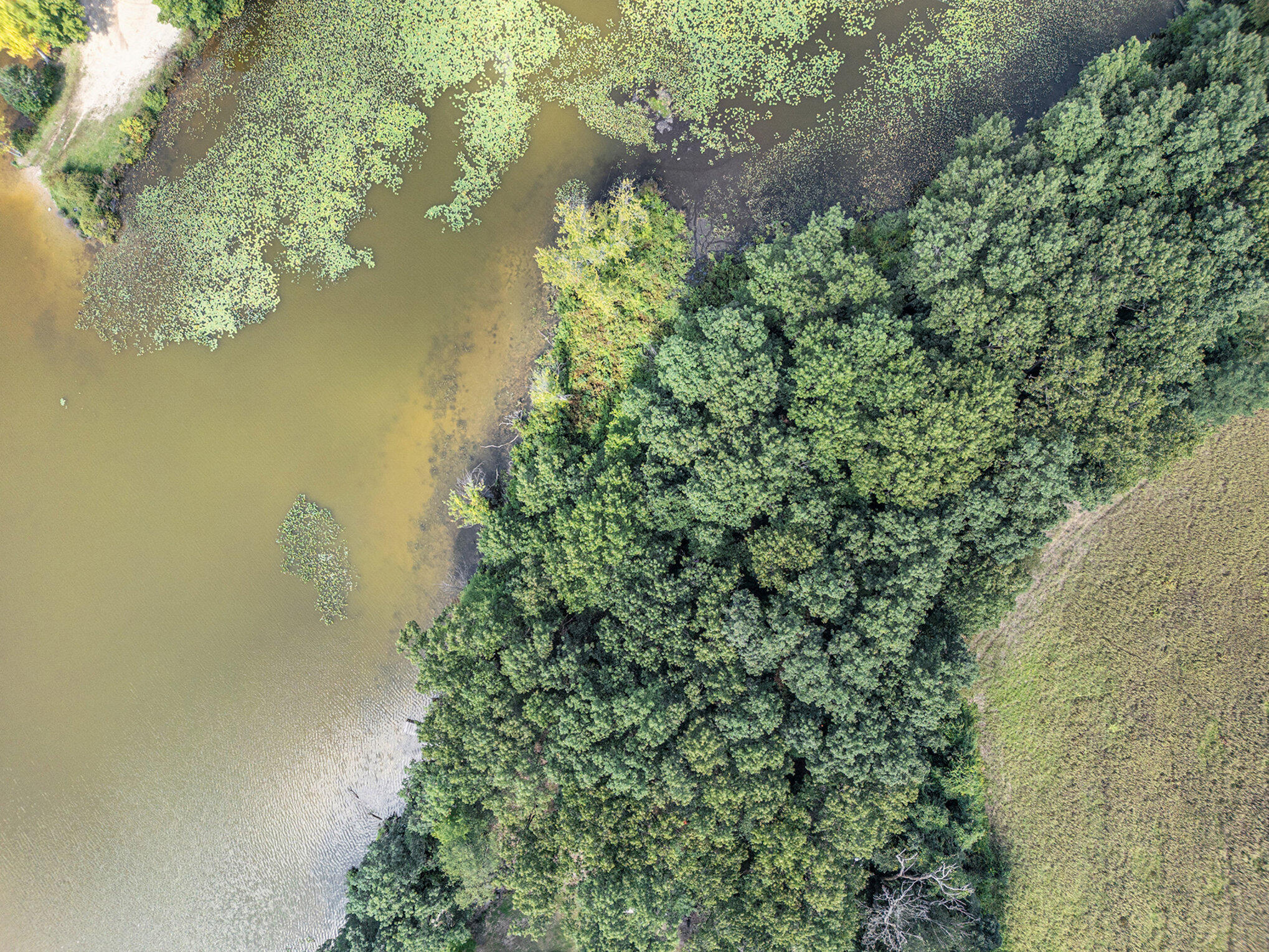 59136 Dove Lane Three Rivers, MI 49093 - Photo 17 of 20 015_dji_0604