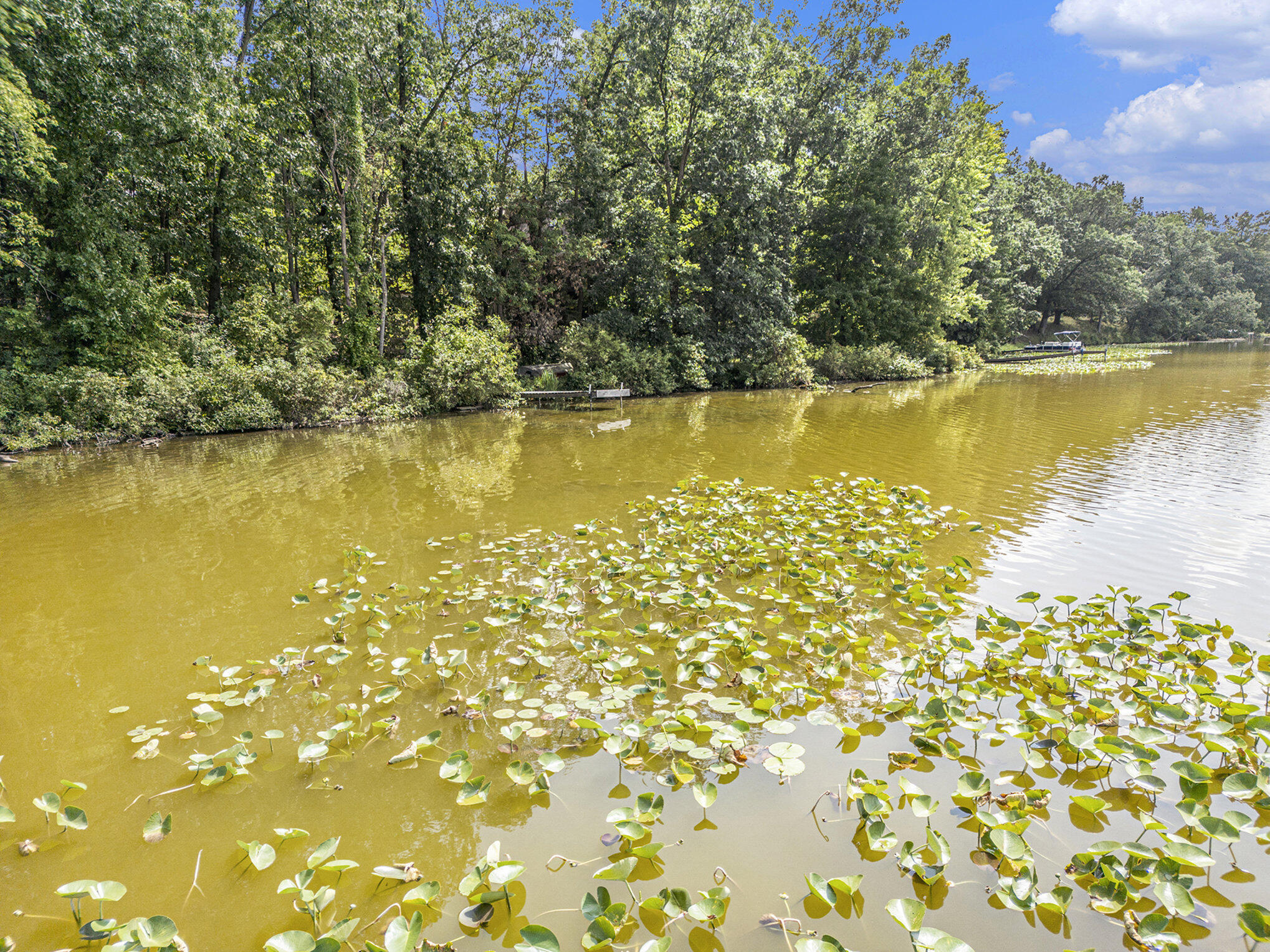59136 Dove Lane Three Rivers, MI 49093 - Photo 19 of 20 019_dji_0614