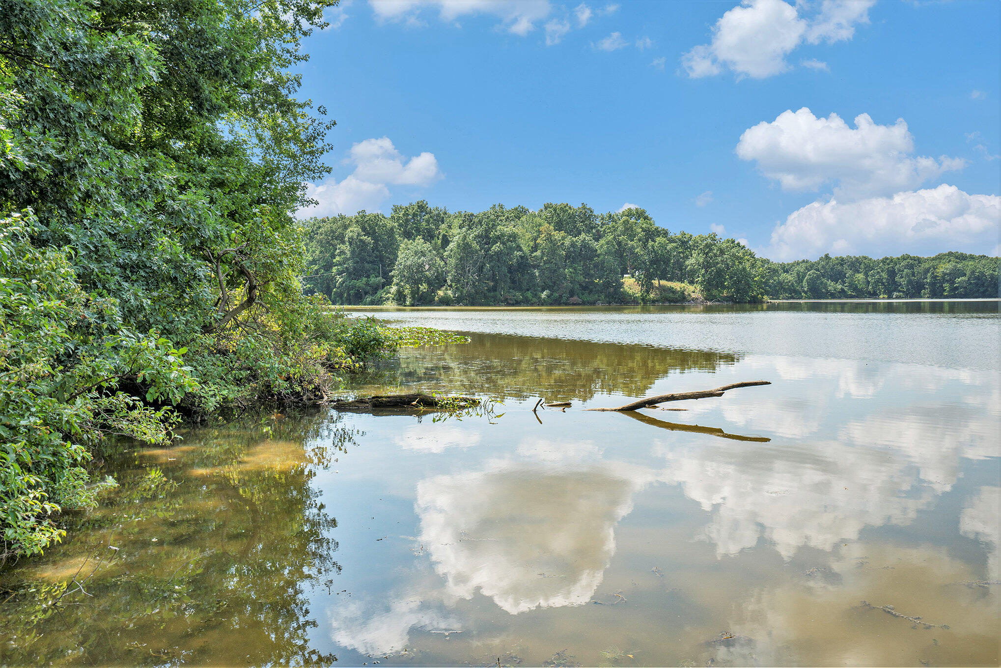 59136 Dove Lane Three Rivers, MI 49093 - Photo 9 of 20 005_dsc04511