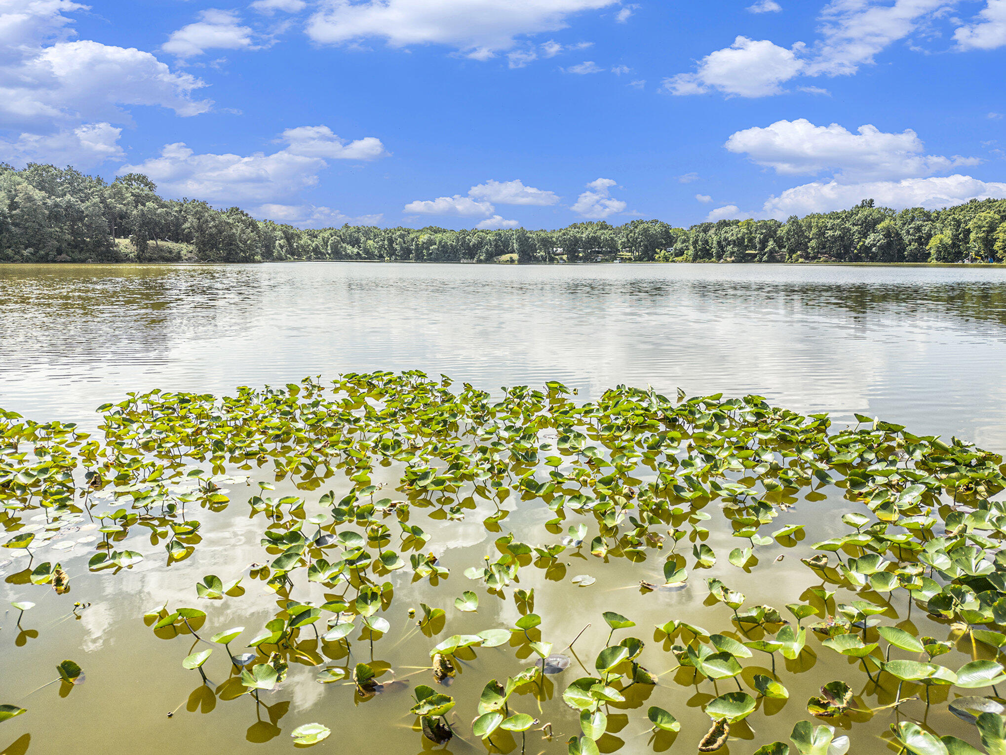 59136 Dove Lane Three Rivers, MI 49093 - Photo 10 of 20 017_dji_0615