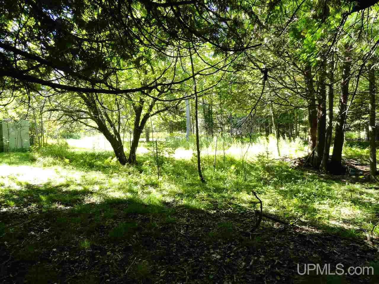 6386 Co Rd 432 Rock, MI 49880 - Photo 27 of 39