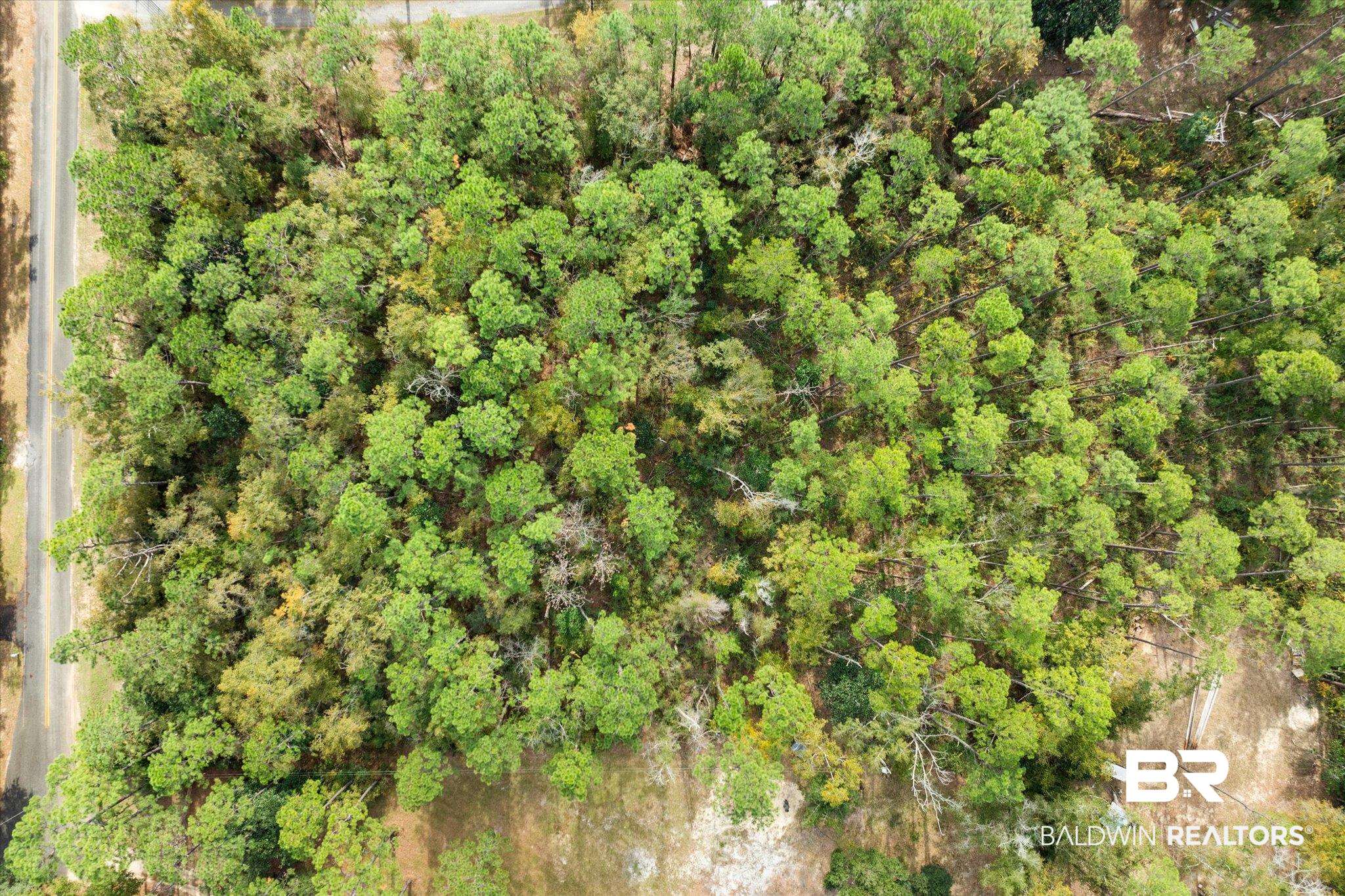 0 Coleman Lane Elberta, AL 36530 - Photo 14 of 15 Drone / aerial view