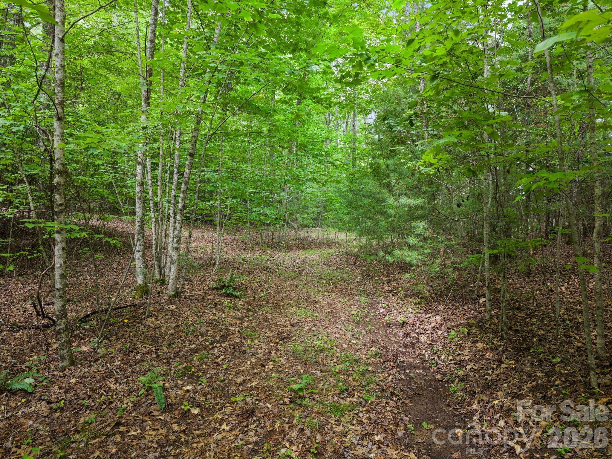 1408 Tellico Road Franklin, NC 28734 - Photo 4 of 22 Gallery Image 4