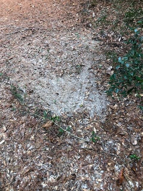 25-ac Gantt Road Andalusia, AL 36421 - Photo 30 of 36 Gallery Image 30