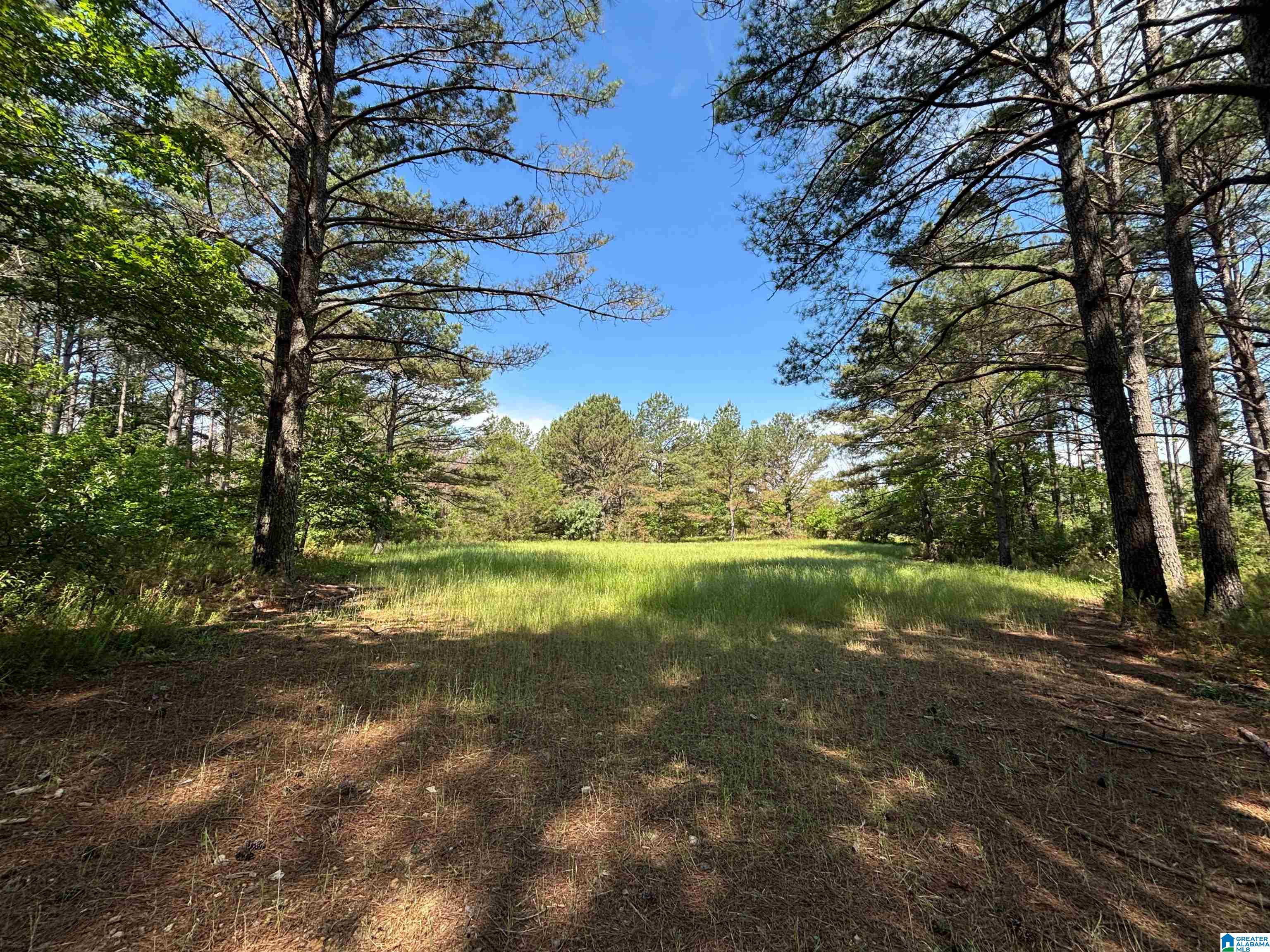 5145 Pine Mountain Road Remlap, AL 35133 - Photo 79 of 100