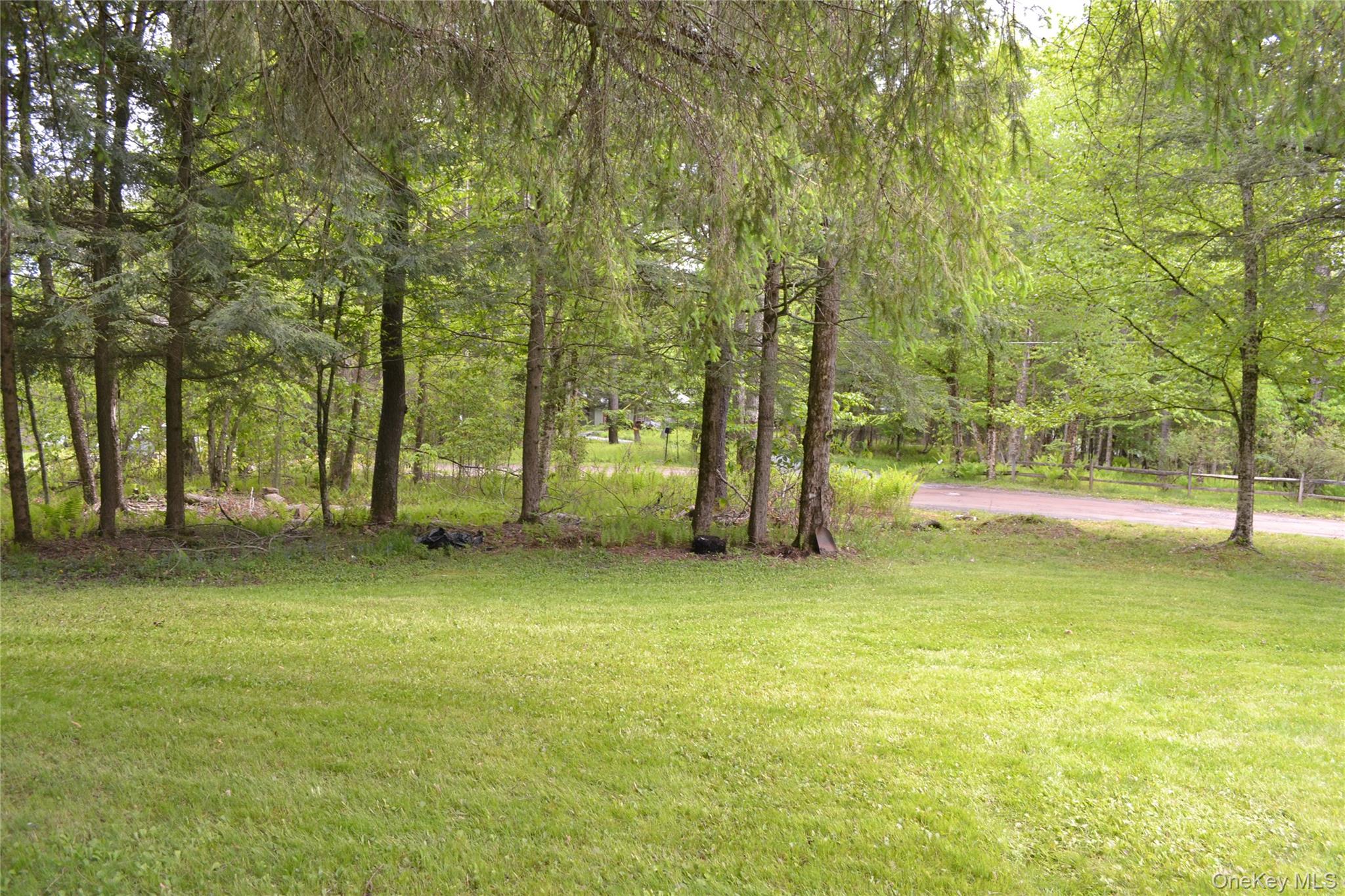 113 Lake Muskoday Road Roscoe, NY 12776 - Photo 16 of 27 Serene, lighly wooded yard