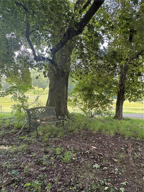 121 North Main Street Cherry Tree, PA 15724 - Photo 27 of 32 a view of outdoor space and yard