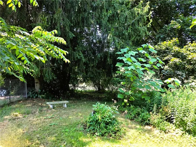 a view of tree in front of a yard
