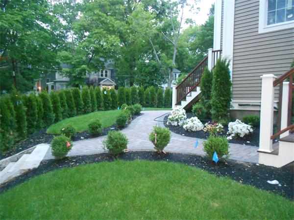53 Helene Road, Unit 2 Newton, MA 02468 - Photo 3 of 3 a view of a garden with plants and large trees