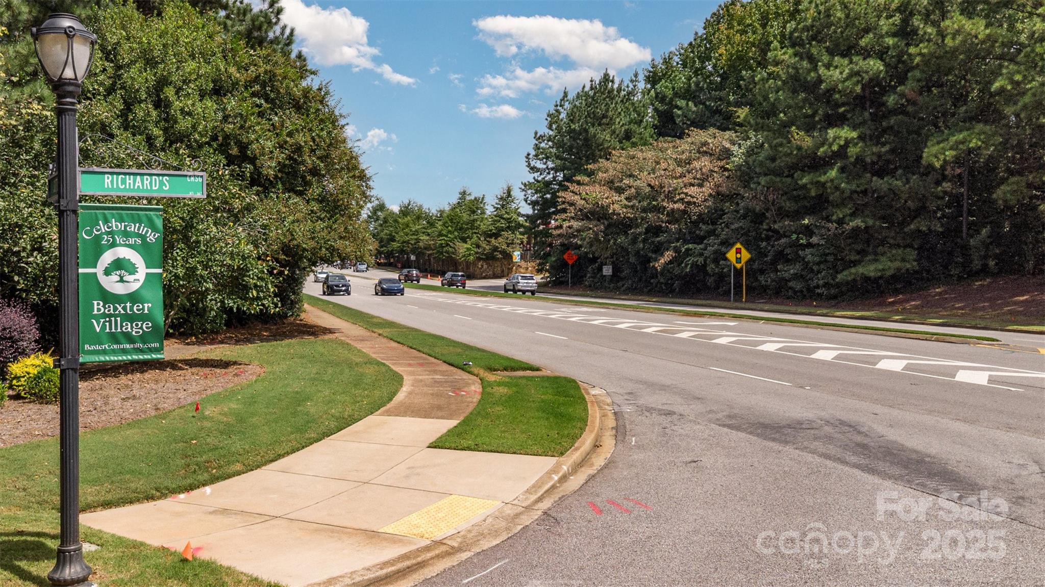 3558 Richard's Crossing Fort Mill, SC 29708 - Photo 38 of 39