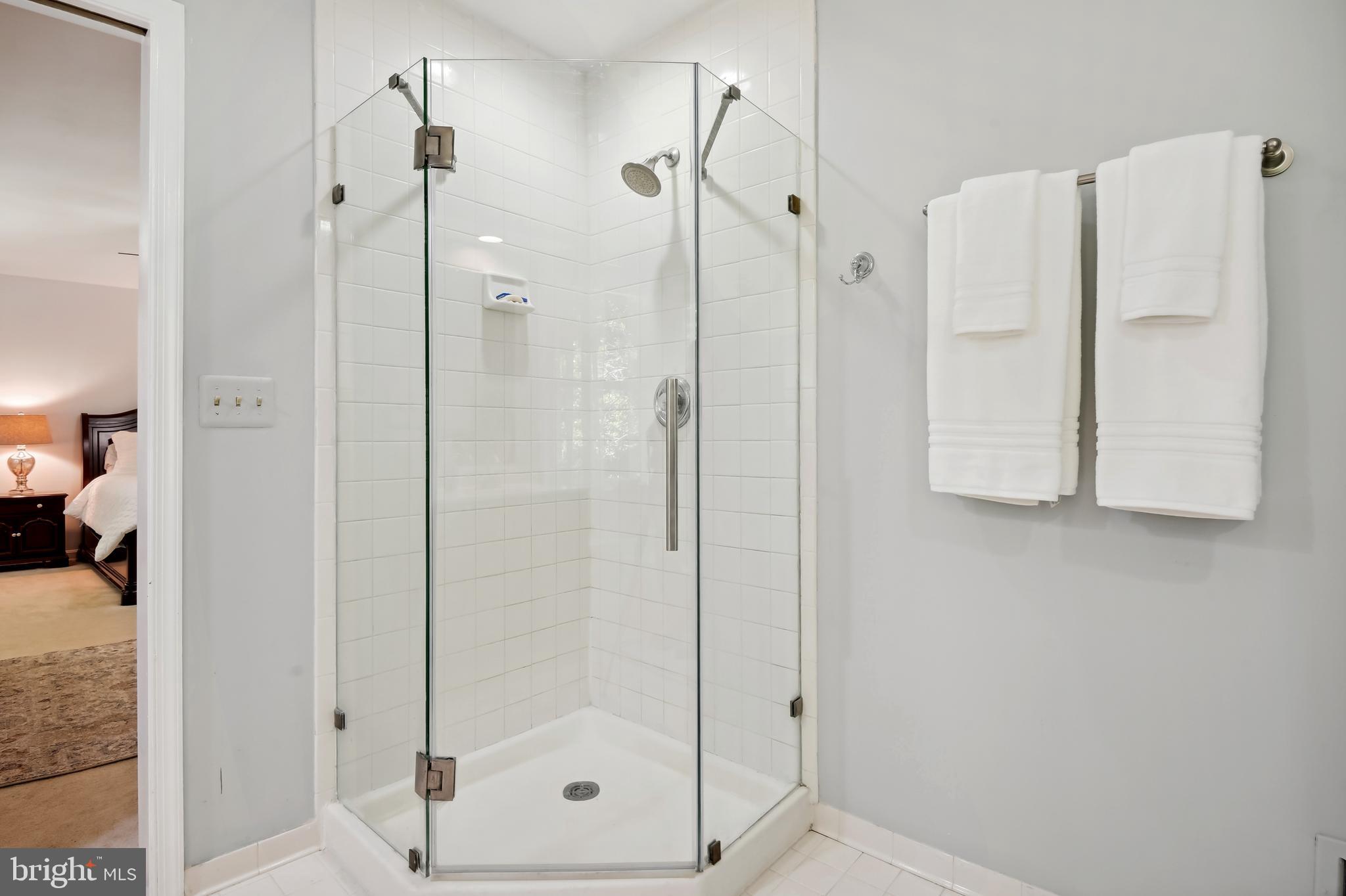 295 Locust Ridge Lane Arnold, MD 21012 - Photo 13 of 56 Separate Shower in Primary Bath